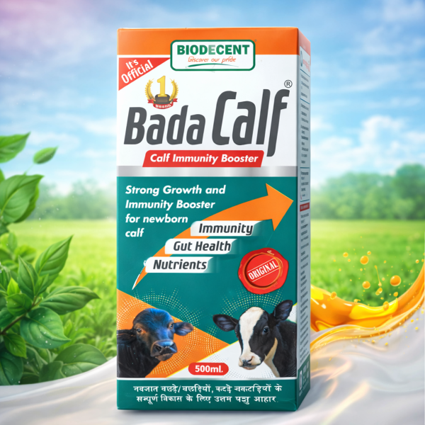Bada Calf - BioDecent Pharma