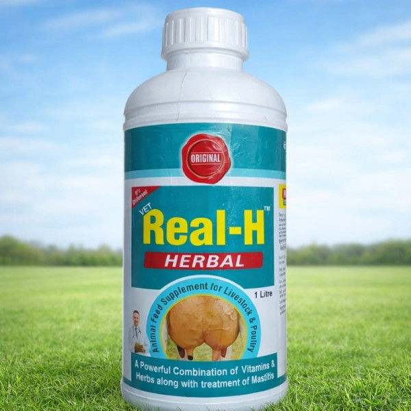 Real-H Herbal-Image