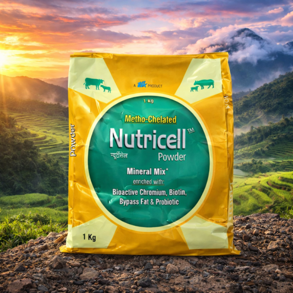 Nutricell Vet Powder - TTK Healthcare Limited