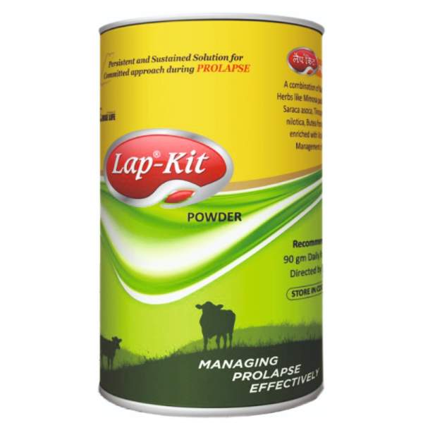 Lap-Kit Powder-Image