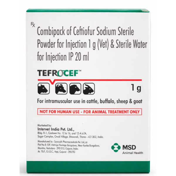 Tefrocef Image