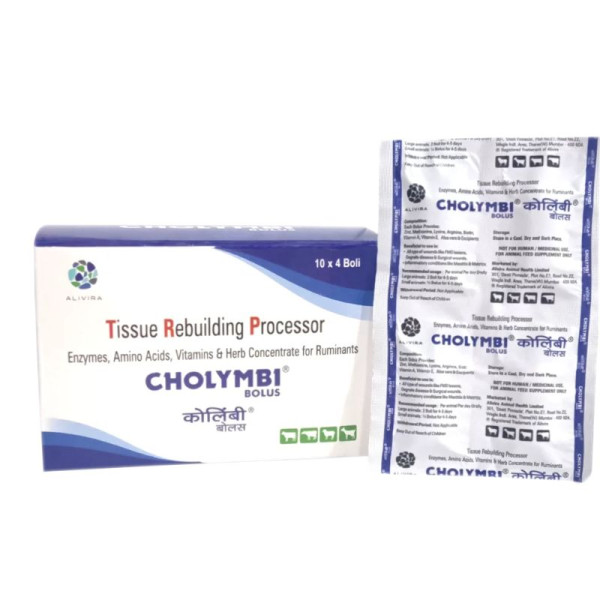 Cholymbi Bolus Image