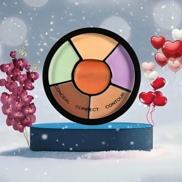 Pro Concealer Palette Image