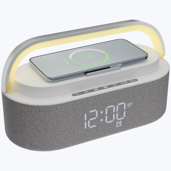 Portable BT Speaker Image