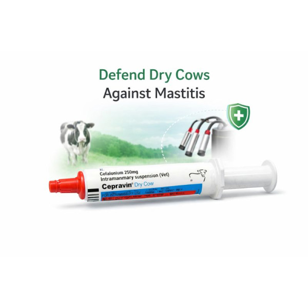 Cepravin Dry Cow-Image