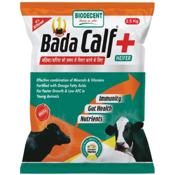 Bada Calf-Image