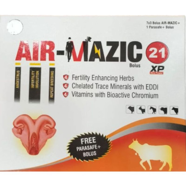 Air-Mazic Bolus image 2