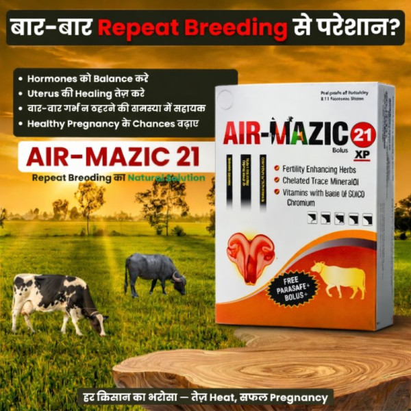 Air-Mazic Bolus-Image