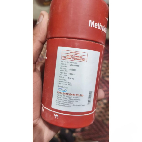 Mecovet XL Injection - Carus Laboratories Pvt. Ltd