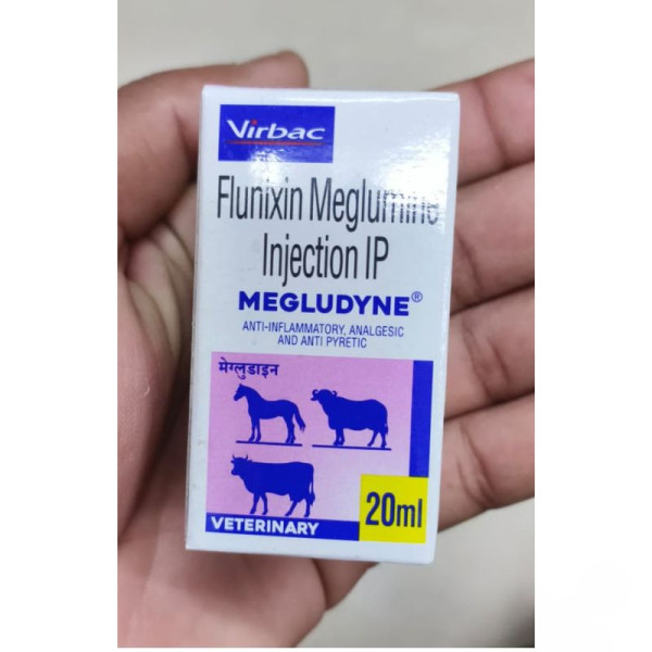 Megludyne Injection - Virbac