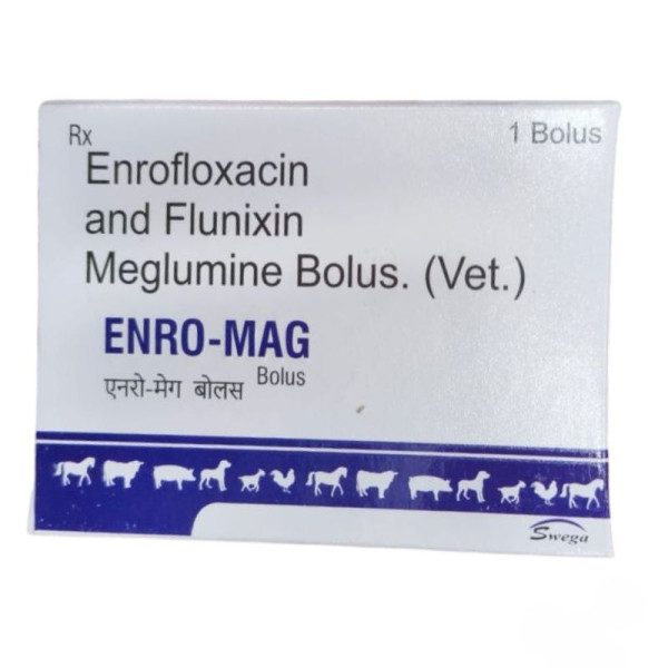 Enro-Mag Bolus Image
