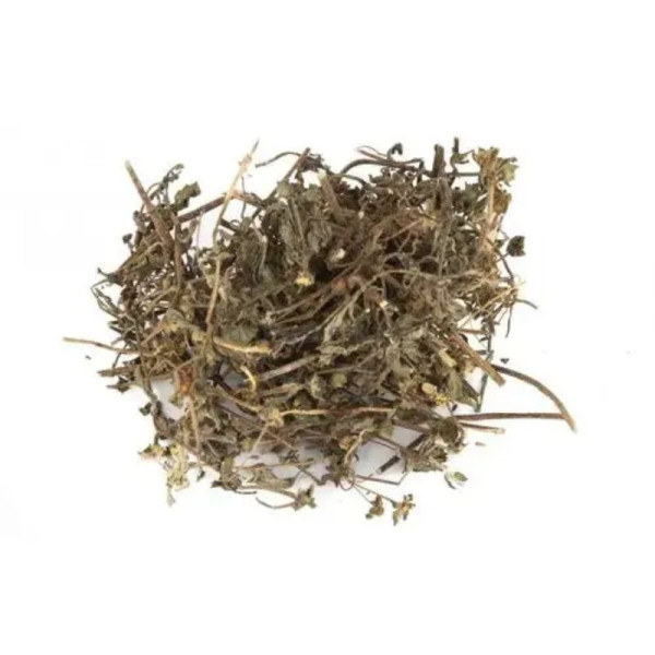 Bhringraj Leaves Image