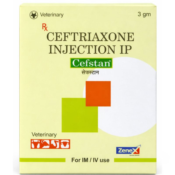 Cefstan Injection Image