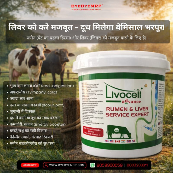 Livocell Advance Image