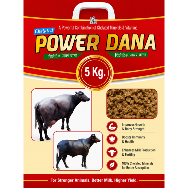 Power Dana Image