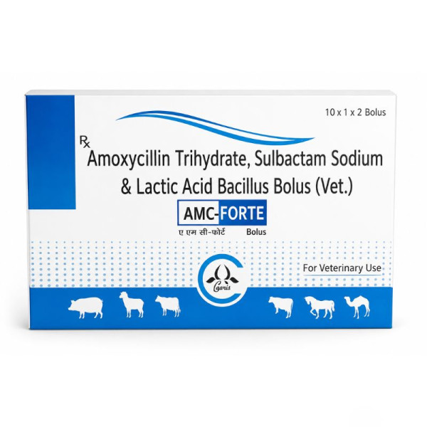 AMC-Forte Bolus Image