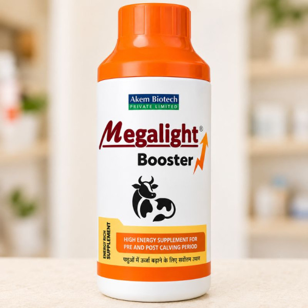Megalight Booster Image