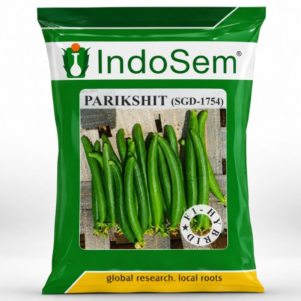 こみ！ Offers @ Hybrid Sponge Gourd Seeds
