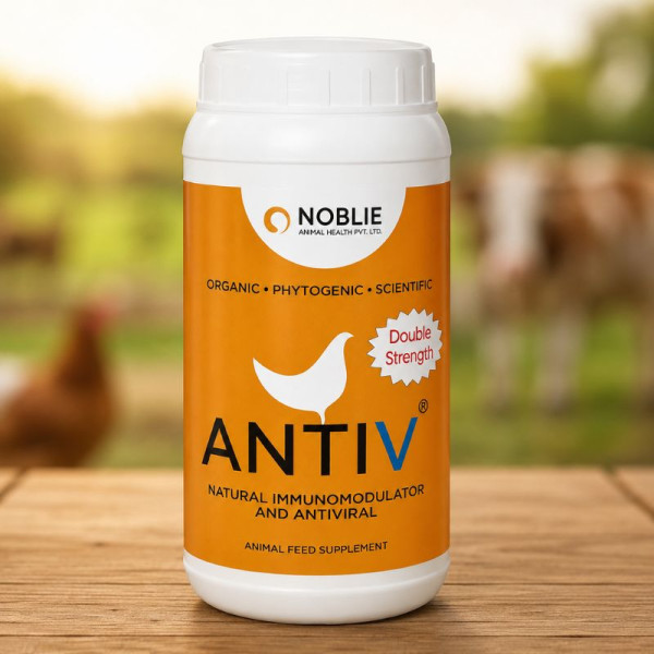 Antiv Image