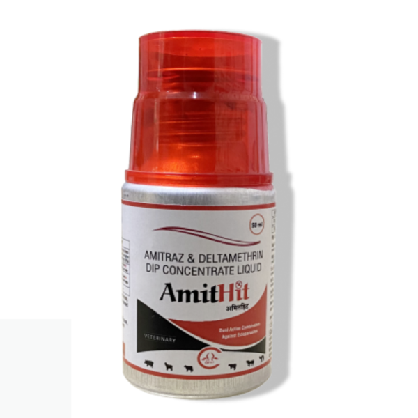 AmitHit image 2