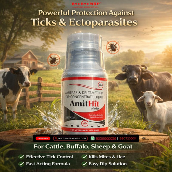 AmitHit Image