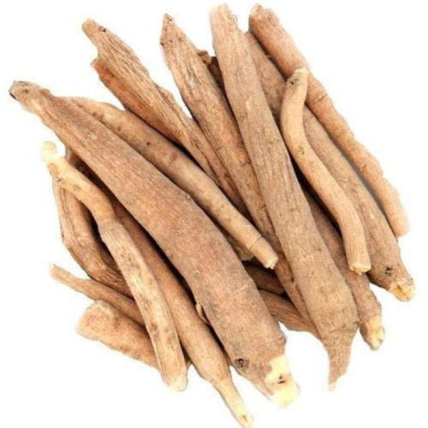 Ashwagandha Nagori Image
