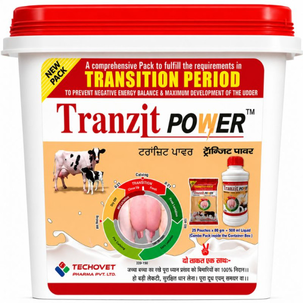 Tranzit Power-Image