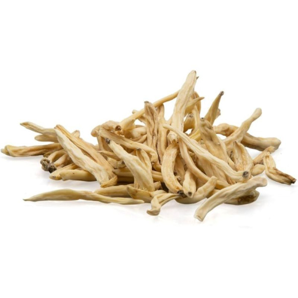 Safed Musli Image
