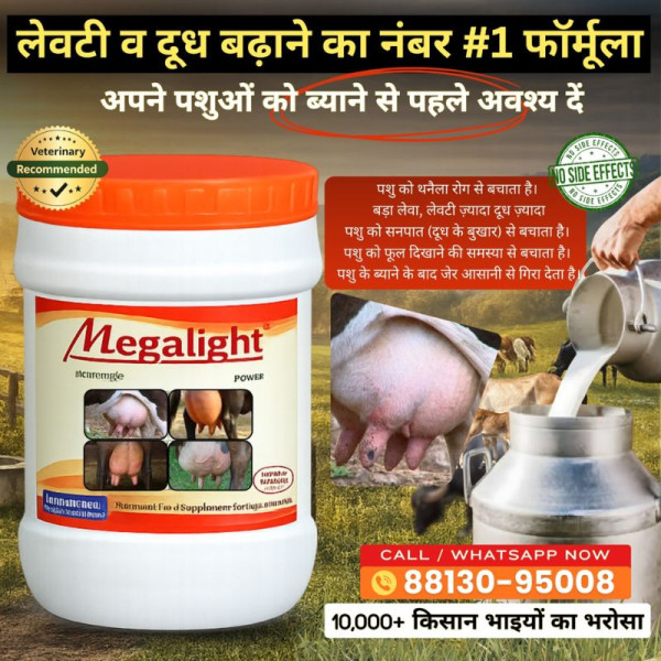 Megalight Powder Image