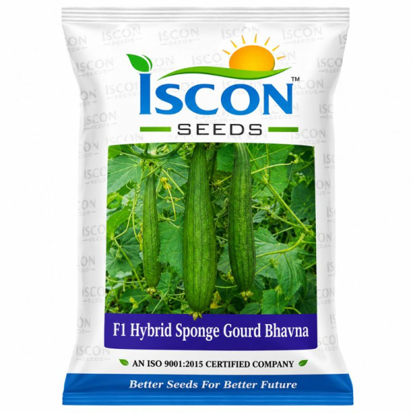 F1 Hybrid Sponge Gourd Seeds Image