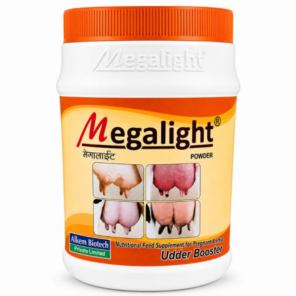 Megalight Powder Image