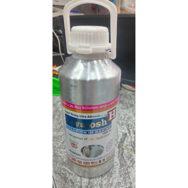 Levajosh H image 2