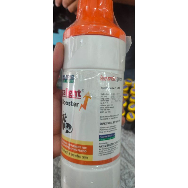 Megalight Booster image 5