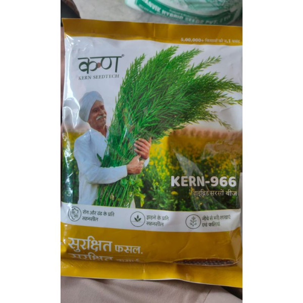 KERN-966 Hybrid Mustard Seeds 1kg – High Germination Mustard Seed image 2
