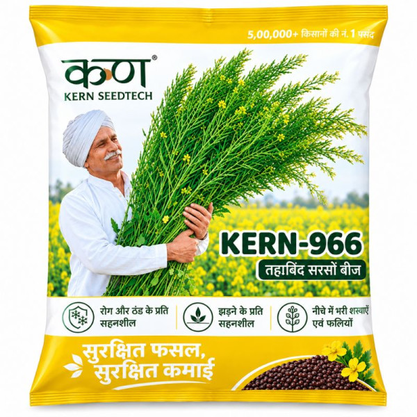 KERN-966 Hybrid Mustard Seeds 1kg – High Germination Mustard Seed Image