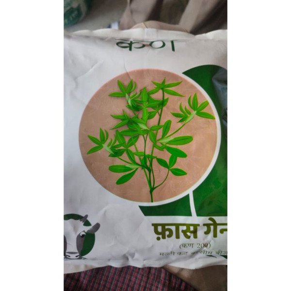 Fasgain (Kern 200) Multi Cut Berseem Seeds – High Purity Fodder Seed image 2