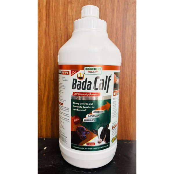 Bada Calf-Image