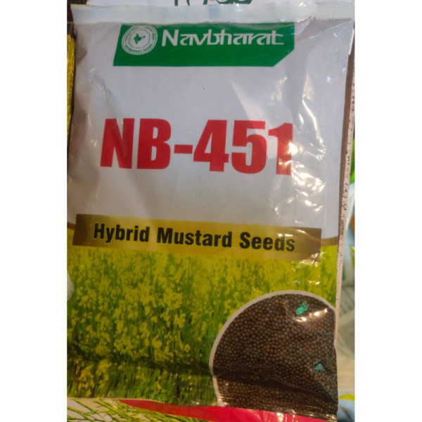 Navbharat NB-451 Hybrid Mustard Seeds 1 Kg High Quality Sarson Seeds image 2