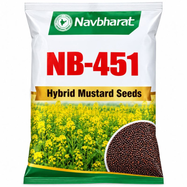 Navbharat NB-451 Hybrid Mustard Seeds 1 Kg High Quality Sarson Seeds Image