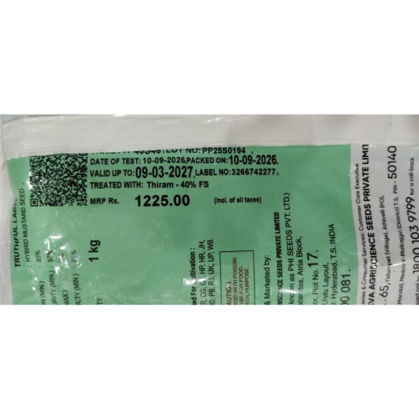 Pioneer 45S46 Hybrid Mustard Seed – High Yield Crop Seeds image 4