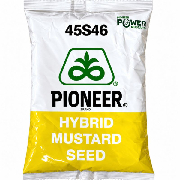 Pioneer 45S46 Hybrid Mustard Seed – High Yield Crop Seeds Image
