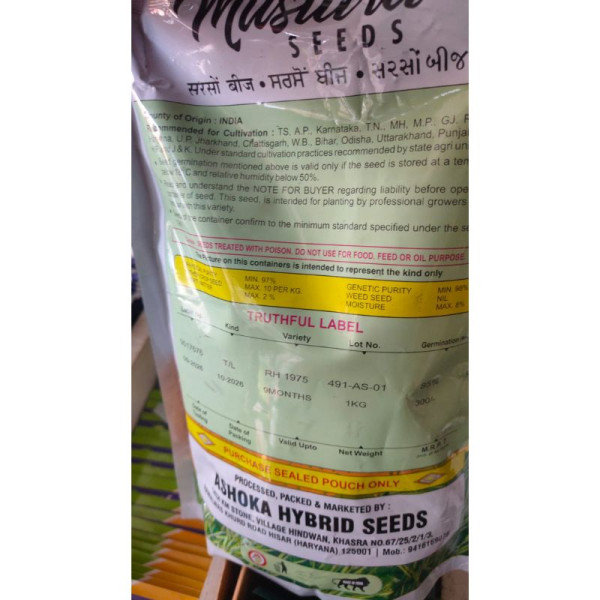 RH-1975 Mustard Seeds | Ashoka Hybrid Seeds image 3