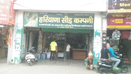 Haryana Seed Company