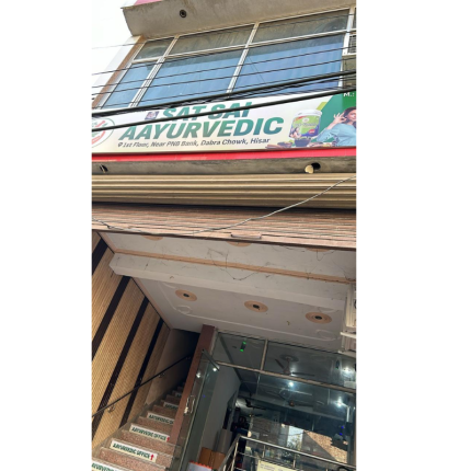 Wired Earphones Image