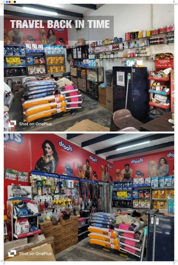 Bhiwani Pet Gallery
