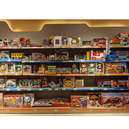 Wired Earphones Image